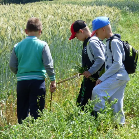 Eš u Pacova 2015 - 0.turnus – fotka 1867
