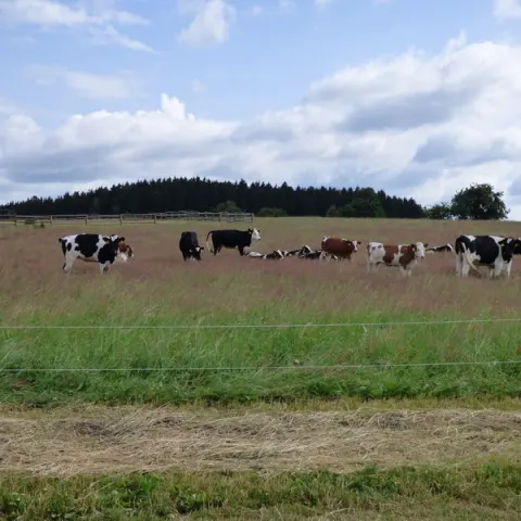Eš u Pacova 2015 - 0.turnus – fotka 1691