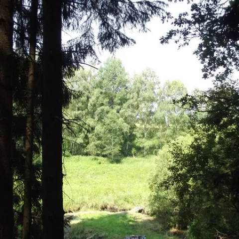 Eš u Pacova 2015 - 0.turnus – fotka 108