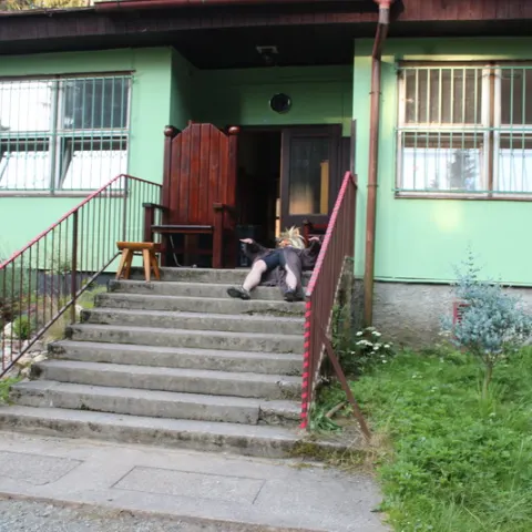 Eš u Pacova 2015 - 0.turnus – fotka 308