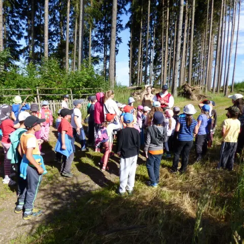 Eš u Pacova 2015 - 0.turnus – fotka 1922