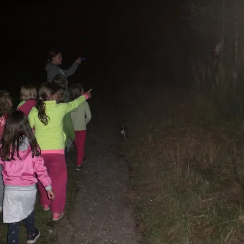 Eš u Pacova 2015 - 1.turnus – fotka 119