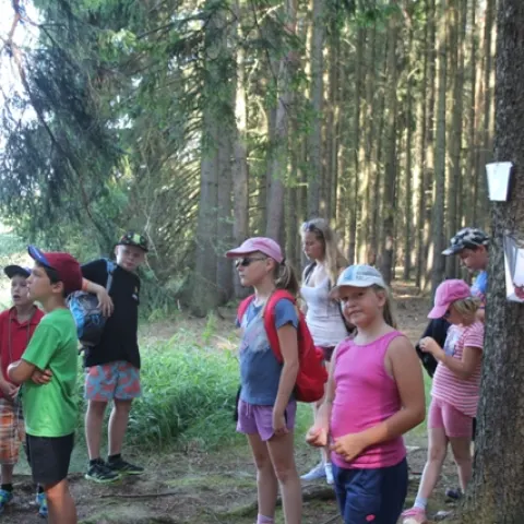 Eš u Pacova 2015 - 1.turnus – fotka 931
