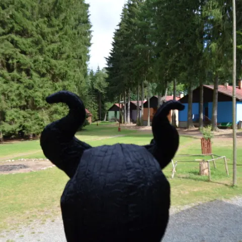 Eš u Pacova 2015 - 2.turnus – fotka 334