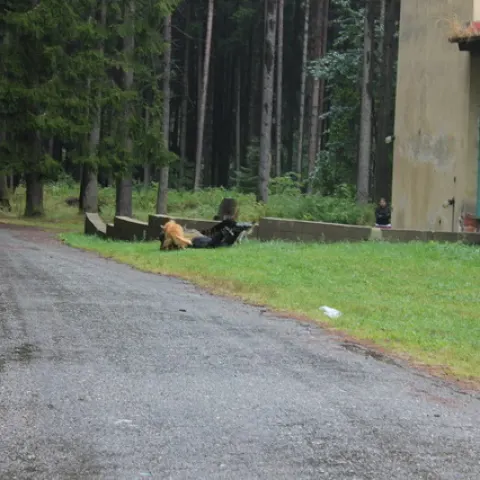 Eš u Pacova 2015 - 3.turnus – fotka 906