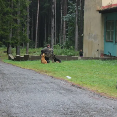 Eš u Pacova 2015 - 3.turnus – fotka 905