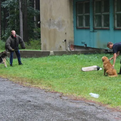 Eš u Pacova 2015 - 3.turnus – fotka 926