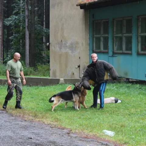 Eš u Pacova 2015 - 3.turnus – fotka 932