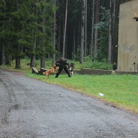 Eš u Pacova 2015 - 3.turnus – fotka 911