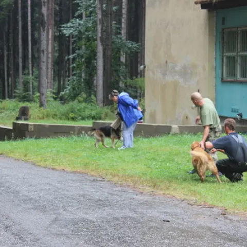 Eš u Pacova 2015 - 3.turnus – fotka 917