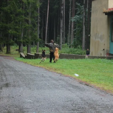 Eš u Pacova 2015 - 3.turnus – fotka 910