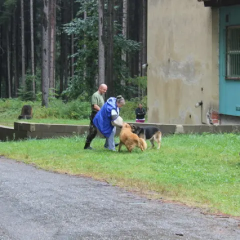 Eš u Pacova 2015 - 3.turnus – fotka 918