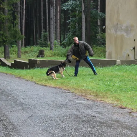 Eš u Pacova 2015 - 3.turnus – fotka 927