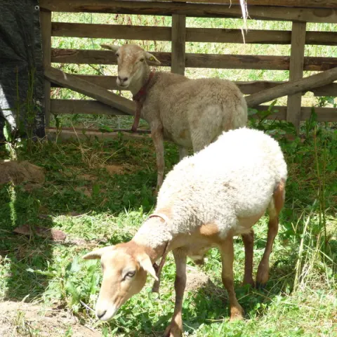 Eš u Pacova 2016 - 0. turnus – fotka 649