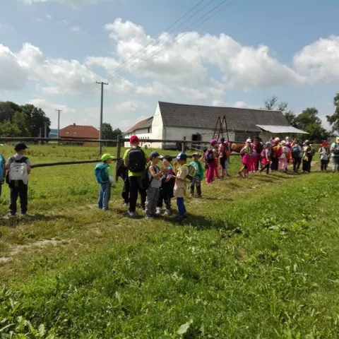 Eš u Pacova 2016 - 1. turnus – fotka 1513