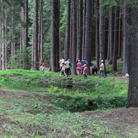 Eš u Pacova 2016 - 2. turnus – fotka 2109