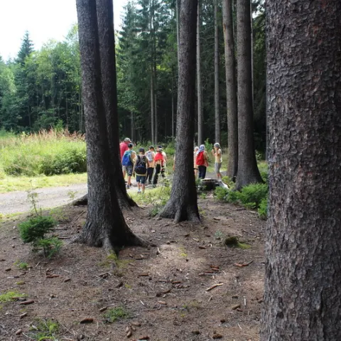 Eš u Pacova 2016 - 2. turnus – fotka 1122