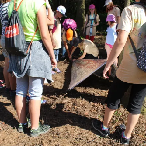 Eš u Pacova 2016 - 2. turnus – fotka 1135