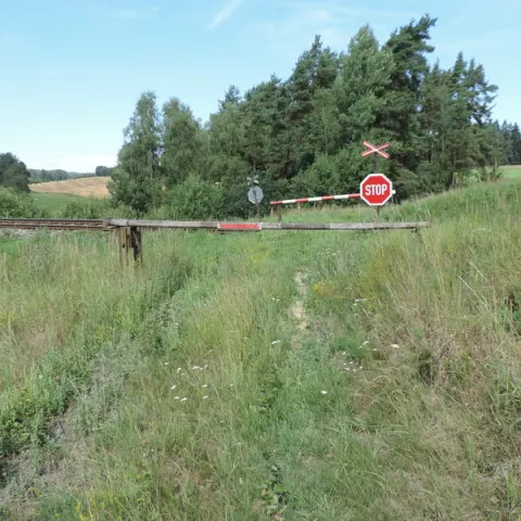 Eš u Pacova 2017 - 2. turnus – fotka 1861
