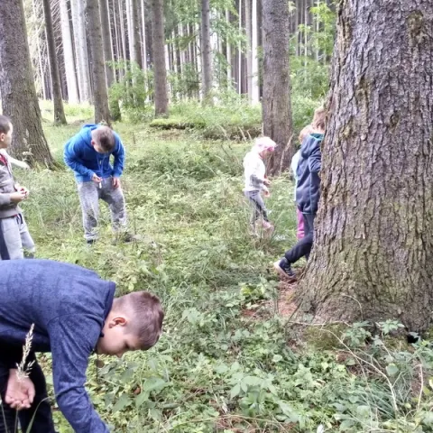 Eš u Pacova 2018 - 0. turnus – fotka 639