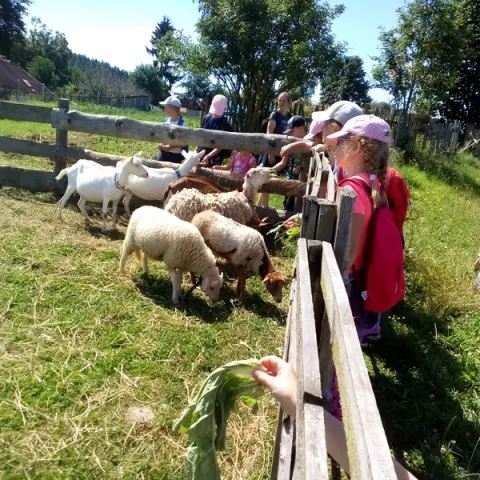 Eš u Pacova 2018 - 0. turnus – fotka 249
