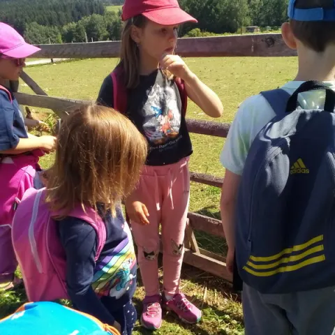 Eš u Pacova 2018 - 0. turnus – fotka 248