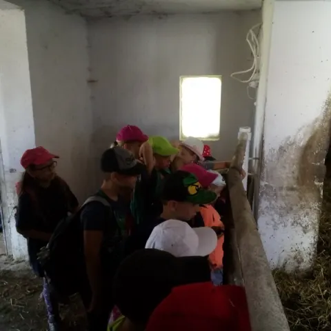 Eš u Pacova 2018 - 0. turnus – fotka 270