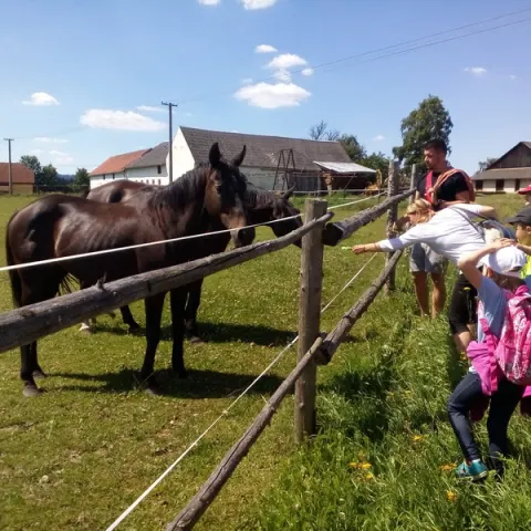 Eš u Pacova 2018 - 0. turnus – fotka 256