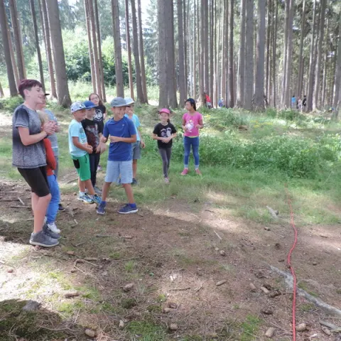 Eš u Pacova 2018 - 2. turnus – fotka 874