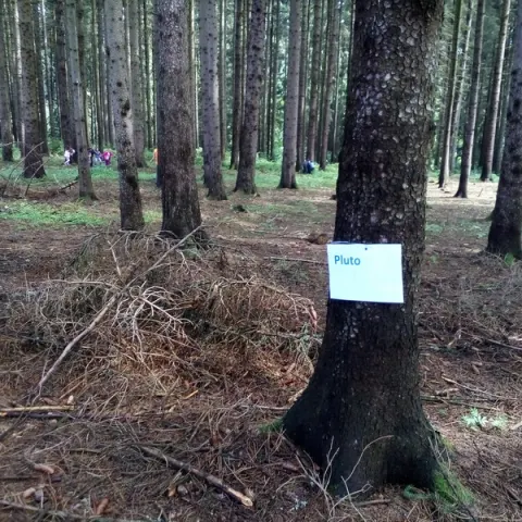 Eš u Pacova 2019 - 0. turnus – fotka 617