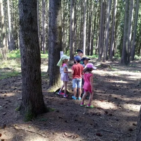 Eš u Pacova 2019 - 0. turnus – fotka 374