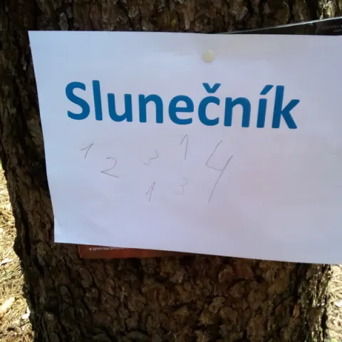 Eš u Pacova 2019 - 0. turnus – fotka 628