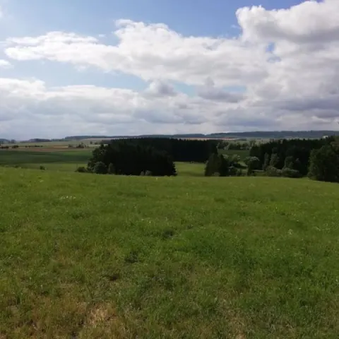 Eš u Pacova 2019 - 1. turnus – fotka 76