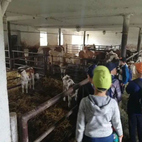 Eš u Pacova 2019 - 1. turnus – fotka 66