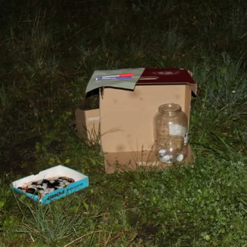 Eš u Pacova 2019 - 3. turnus – fotka 160