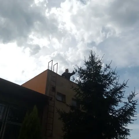 Eš u Pacova 2020 - 0. turnus – fotka 809