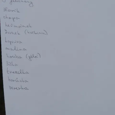 Eš u Pacova 2020 - 2. turnus – fotka 535