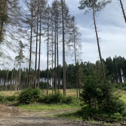 Eš u Pacova 2021 - 2. turnus – fotka 1243