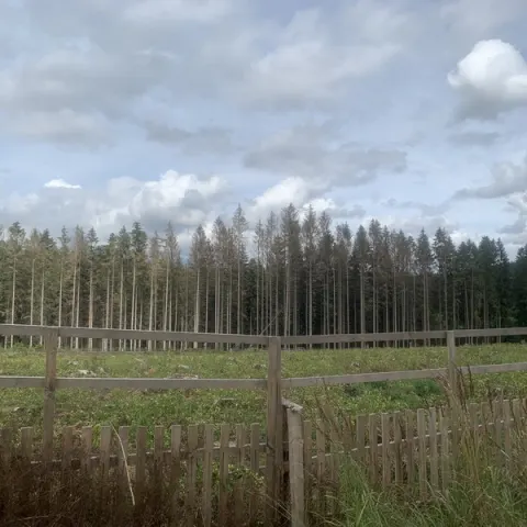 Eš u Pacova 2021 - 2. turnus – fotka 1299