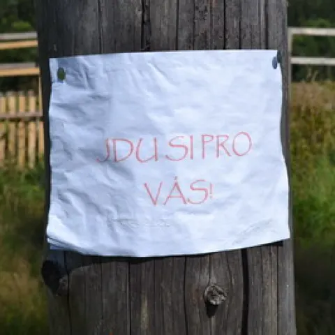 Eš u Pacova 2021 - 3. turnus – fotka 1105