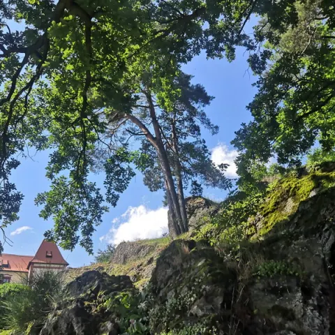 Eš u Pacova 2022 - 0. turnus – fotka 523