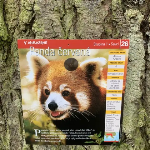 Eš u Pacova 2022 - 2. turnus – fotka 1506