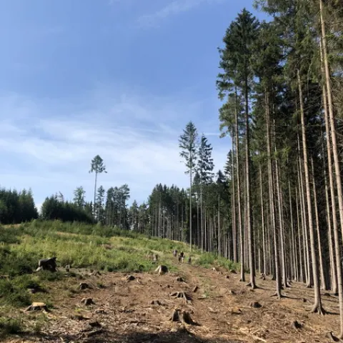 Eš u Pacova 2022 - 3. turnus – fotka 857