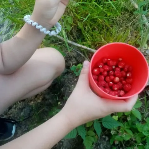 Eš u Pacova 2023 - 0. turnus – fotka 104