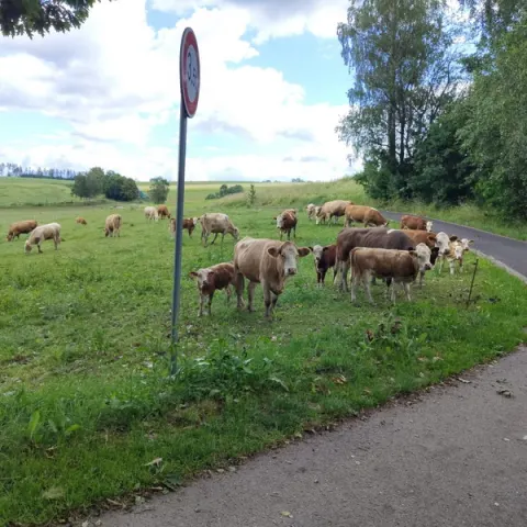 Eš u Pacova 2023 - 0. turnus – fotka 474
