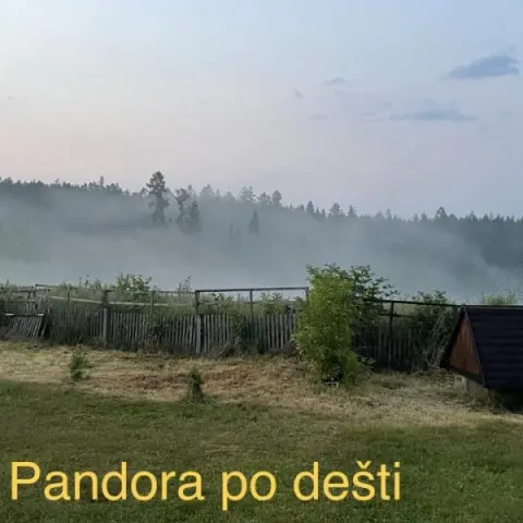 Eš u Pacova 2023 - 1. turnus – fotka 500
