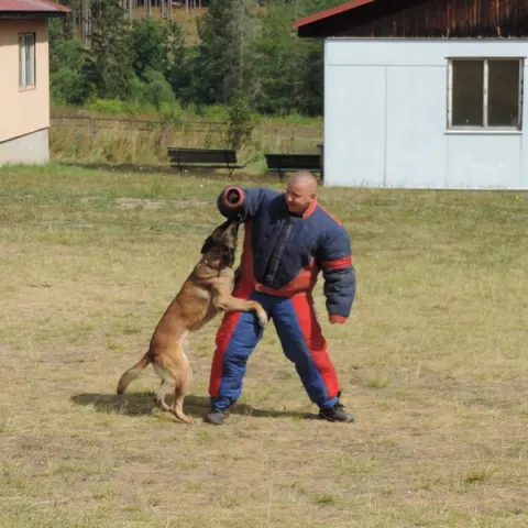 Eš u Pacova 2023 - 2. turnus – fotka 115