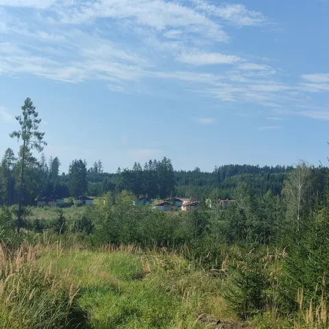 Eš u Pacova 2024 - 3. turnus – fotka 1036
